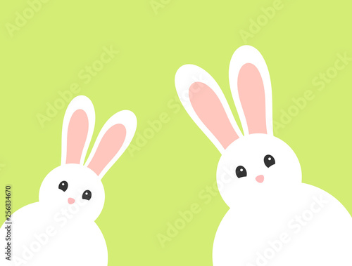 Two white fluffy bunnies with pink noses. Easter.