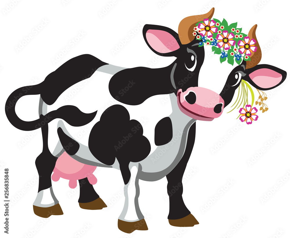 cartoon black spotted cow wearing wreath of flowers. Isolated vector illustration 
