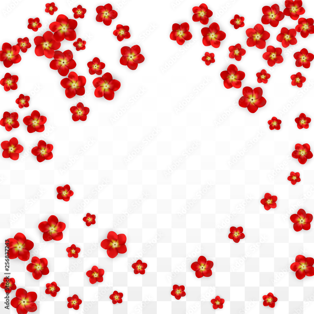 Vector Realistic Red Flowers Falling on Transparent Background. Spring Romantic Flowers Illustration. Flying Asian Rose Spa Design. Blossom Confetti. Design Elements for Wedding Decoration. Vector Realistic Red Flowers Falling on Transparent Background. Spring Romantic Flowers Illustration. Flying Asian Rose Spa Design. Blossom Confetti. Design Elements for Wedding Decoration.