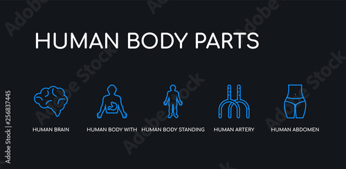 5 outline stroke blue human abdomen, human artery, human body standing black, body with x ray plate focusing on stomach, brain icons from body parts collection on black background. line editable