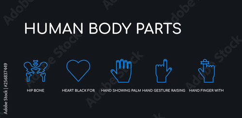 5 outline stroke blue hand finger with a ribbon, hand gesture raising the index finger, hand showing palm, heart black for valentines, hip bone icons from human body parts collection on black