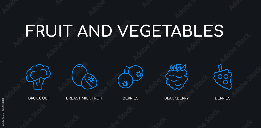 5 outline stroke blue berries, blackberry, berries, breast milk fruit, broccoli icons from fruit and vegetables collection on black background. line editable linear thin icons. 5 outline stroke blue berries, blackberry, berries, breast milk fruit, broccoli icons from fruit and vegetables collection on black background. line editable linear thin icons.