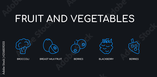5 outline stroke blue berries, blackberry, berries, breast milk fruit, broccoli icons from fruit and vegetables collection on black background. line editable linear thin icons.