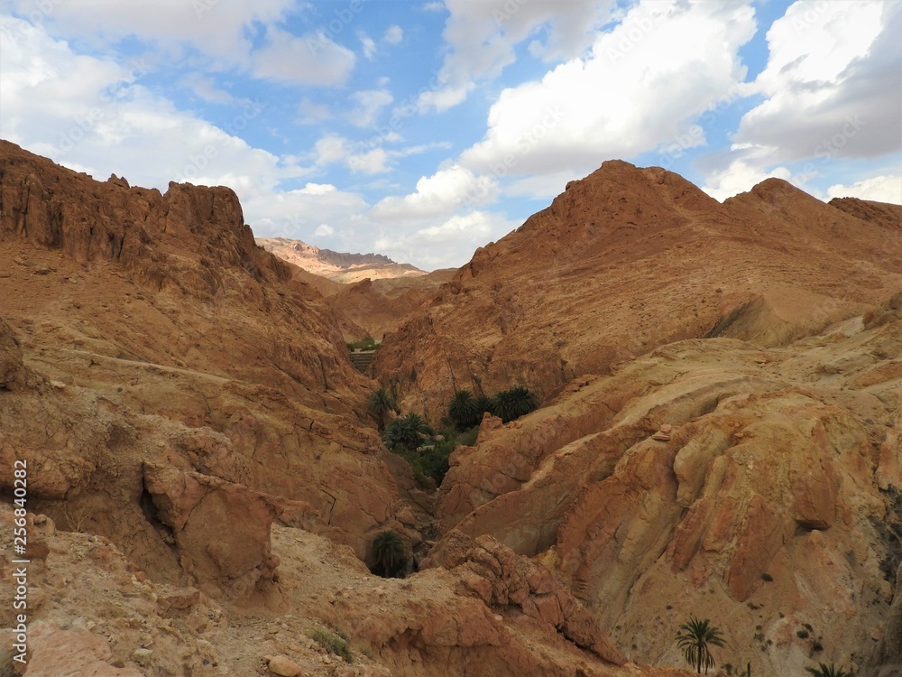 Chebika mountain oasis on the border of the Sahara, clear blue sky, Tunisia, Africa