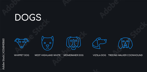 5 outline stroke blue treeing walker coonhound dog, vizsla dog, weimeraner dog, west highland white terrier whippet icons from dogs collection on black background. line editable linear thin icons.