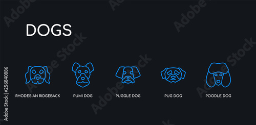 5 outline stroke blue poodle dog, pug dog, puggle dog, pumi rhodesian ridgeback icons from dogs collection on black background. line editable linear thin icons. photo