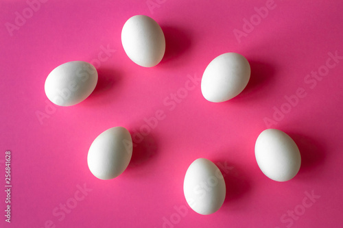 six white chicken eggs on magenta background with place for inscription