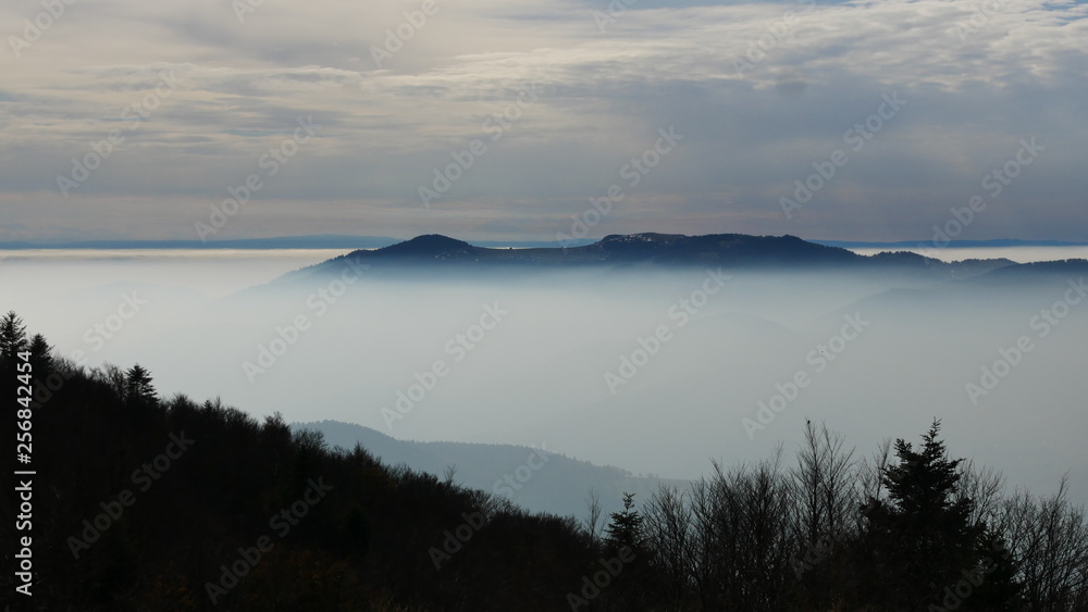 Fototapeta premium Les Vosges, France