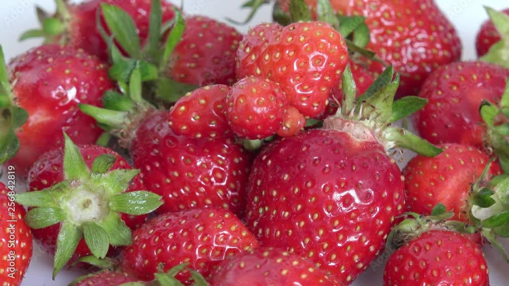 strawberries turn around strawberries turn around