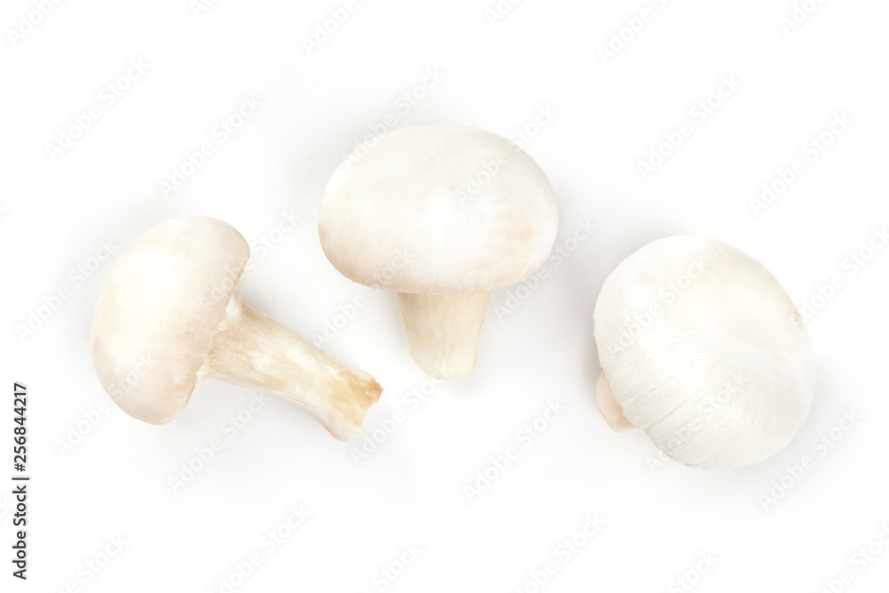 Fototapeta premium Three champignon mushrooms, shot from the top on a white background, a flat lay composition with copy space