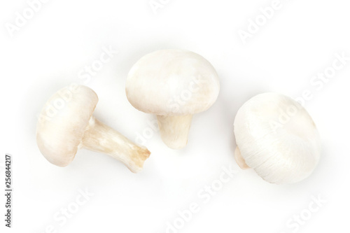 Three champignon mushrooms, shot from the top on a white background, a flat lay composition with copy space