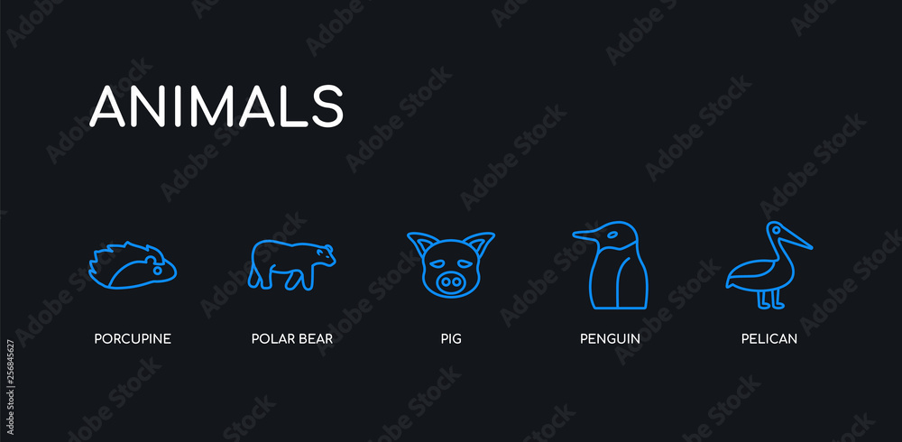 Φωτογραφία 5 outline stroke blue pelican, penguin, pig, polar bear, porcupine icons from animals collection on black background