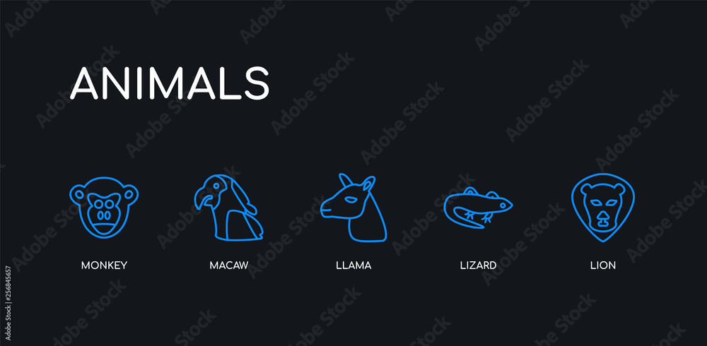 Naklejka premium 5 outline stroke blue lion, lizard, llama, macaw, monkey icons from animals collection on black background. line editable linear thin icons.