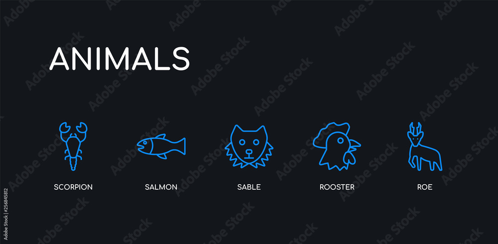 5 outline stroke blue roe, rooster, sable, salmon, scorpion icons from animals collection on black background. line editable linear thin icons. 5 outline stroke blue roe, rooster, sable, salmon, scorpion icons from animals collection on black background. line editable linear thin icons.