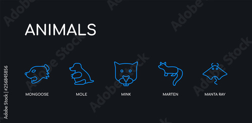 5 outline stroke blue manta ray, marten, mink, mole, mongoose icons from animals collection on black background. line editable linear thin icons.