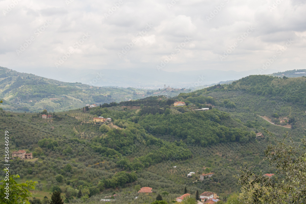 Fototapeta premium Typical Tuscany landscape with hills, green trees and houses, Italy.