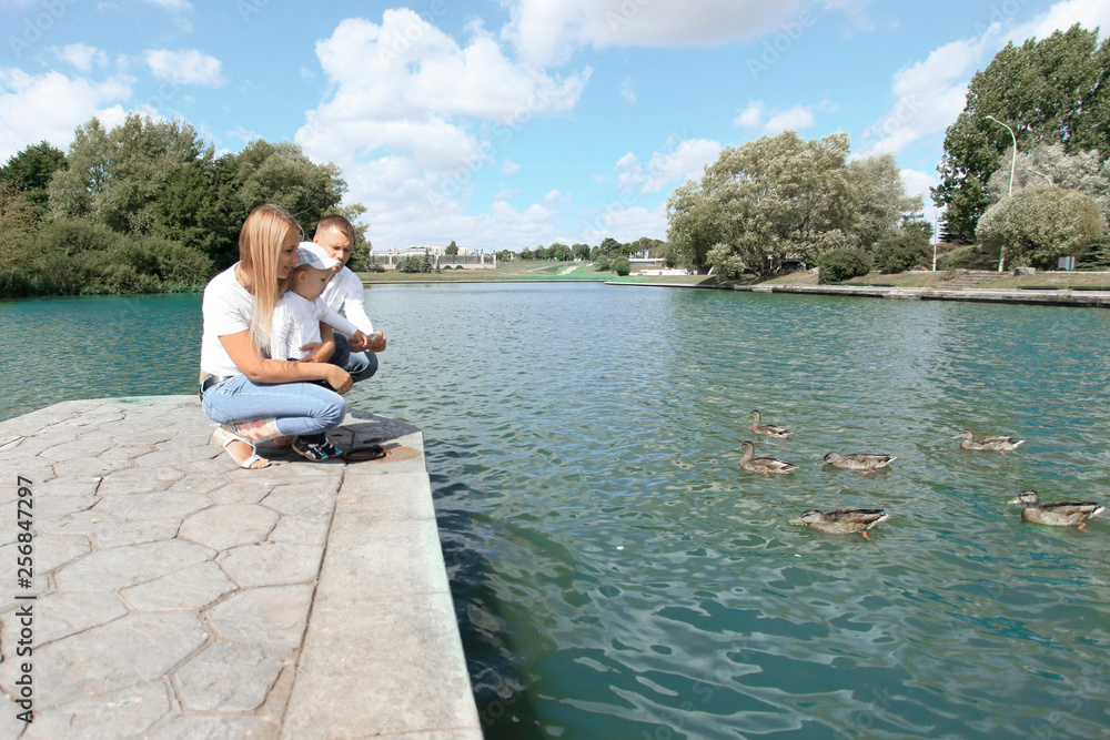 young family feeds wild ducks sitting on a pier by the lake