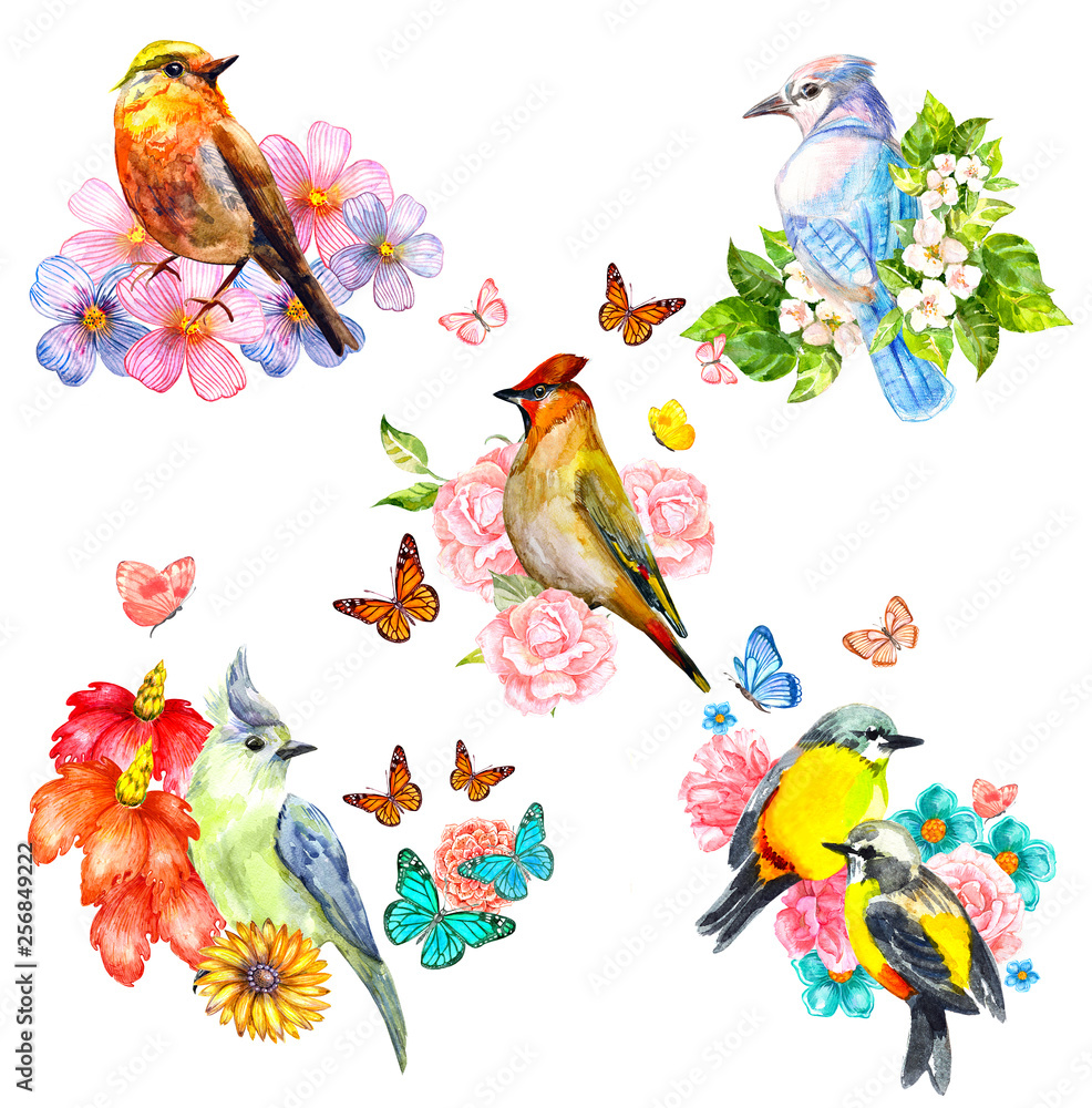 romantic collection of pretty cute birds. watercolor painting