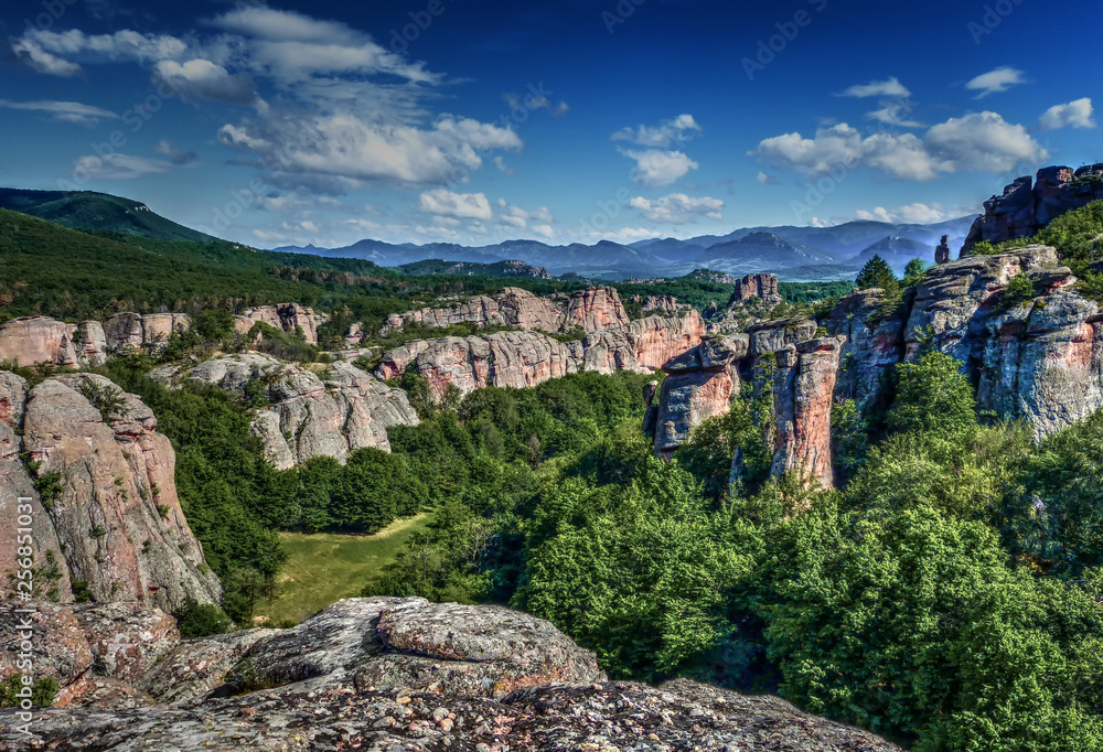 Dynamic contrast landscape of a rocky valley with green vegetation, surrounded by natural sculptures made of rock, distant mountain ridge on the horizon, blue sky with a few clouds