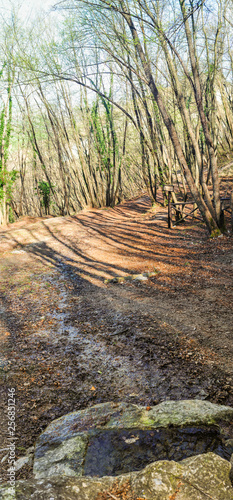 La sorgente del fiume Rubicone (FC) photo