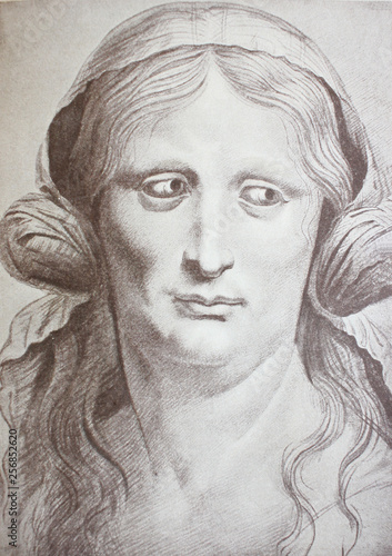 Stampa su tela Etude for the Saint Anne  by Leonardo Da Vinci in a vintage book Leonard de Vinc