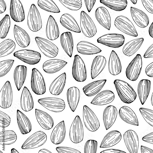 Hand drawn sunflower  seeds. Vector seamless pattern