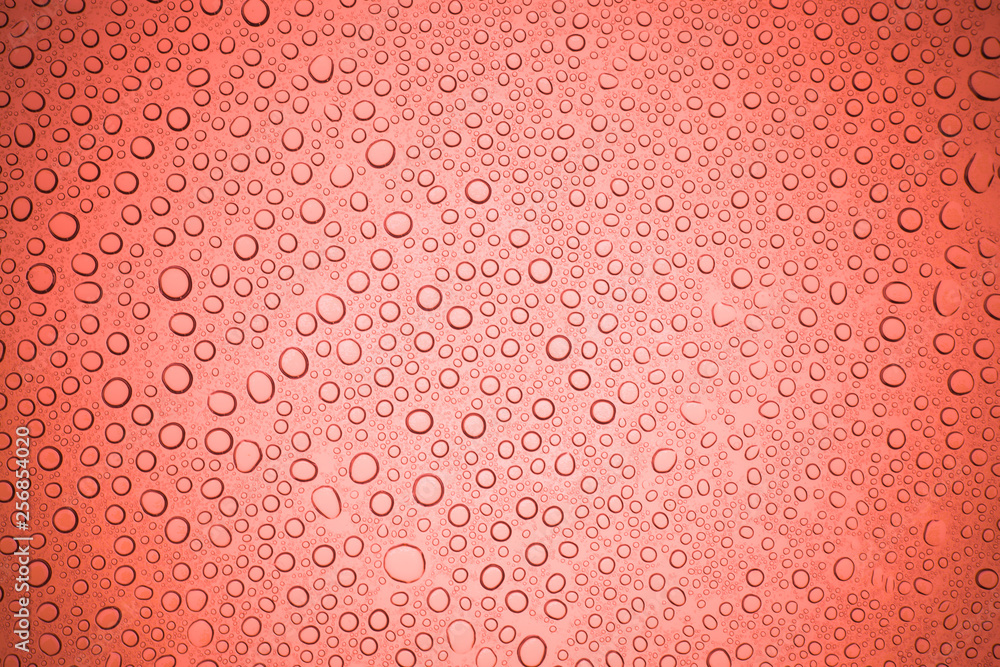 Rain droplets on red glass background, Water drops on glass. Rain droplets on red glass background, Water drops on glass.