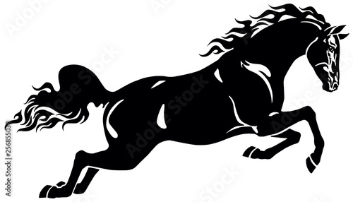 jumping horse stallion . Side view . Black and white vector