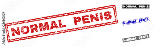 Grunge NORMAL PENIS rectangle stamp seals isolated on a white background. Rectangular seals with grunge texture in red, blue, black and gray colors.