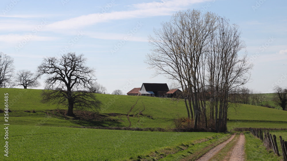 Obraz premium bocage bourbonnais