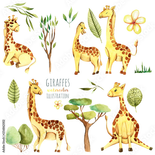 Collection, set of watercolor cute giraffes and plants, hand drawn isolated on a white background