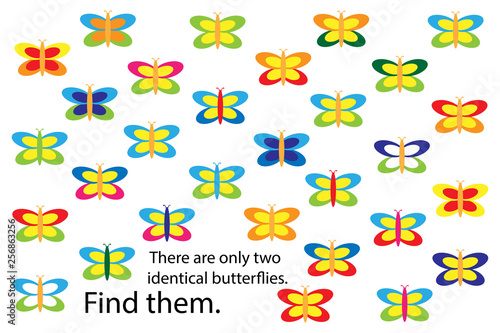 Find two identical butterflies, spring fun education puzzle game for children, preschool worksheet activity for kids, task for the development of logical thinking and mind, vector illustration