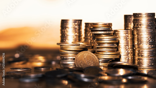 Growth money of profitability of professional investment planning, Business and finance concept.