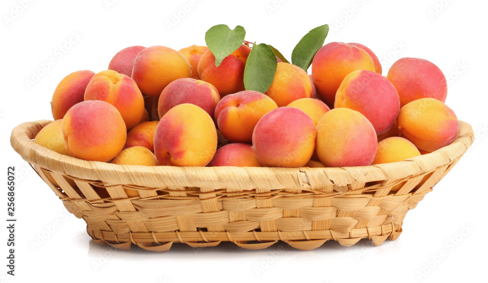 Apricots in a basket isolated on white Apricots in a basket isolated on white