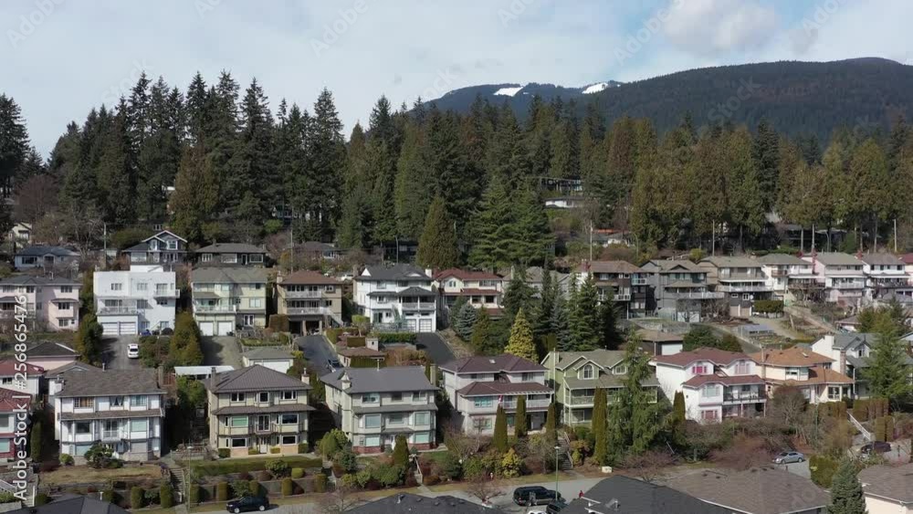 A perfect neighbourhood. Houses in suburb at Summer in the north America. Luxury houses with nice landscape. Aerial drone view. 4K. A perfect neighbourhood. Houses in suburb at Summer in the north America. Luxury houses with nice landscape. Aerial drone view. 4K.