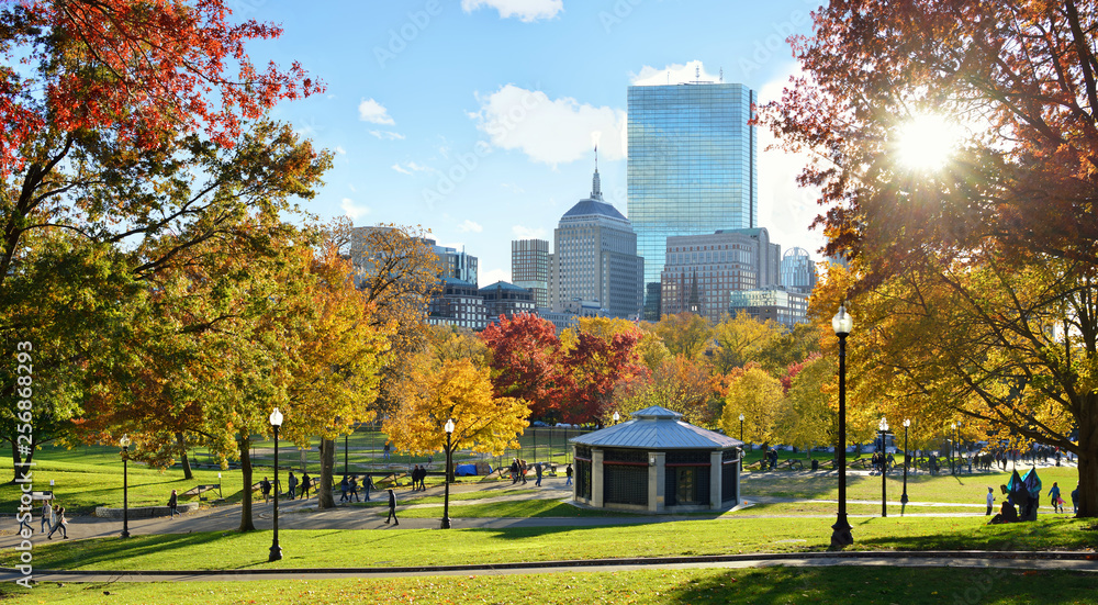 Obraz premium Boston Common In The Fall With Sun Shining Through Trees