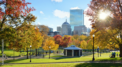 Boston Common In The Fall With Sun Shining Through Trees photo