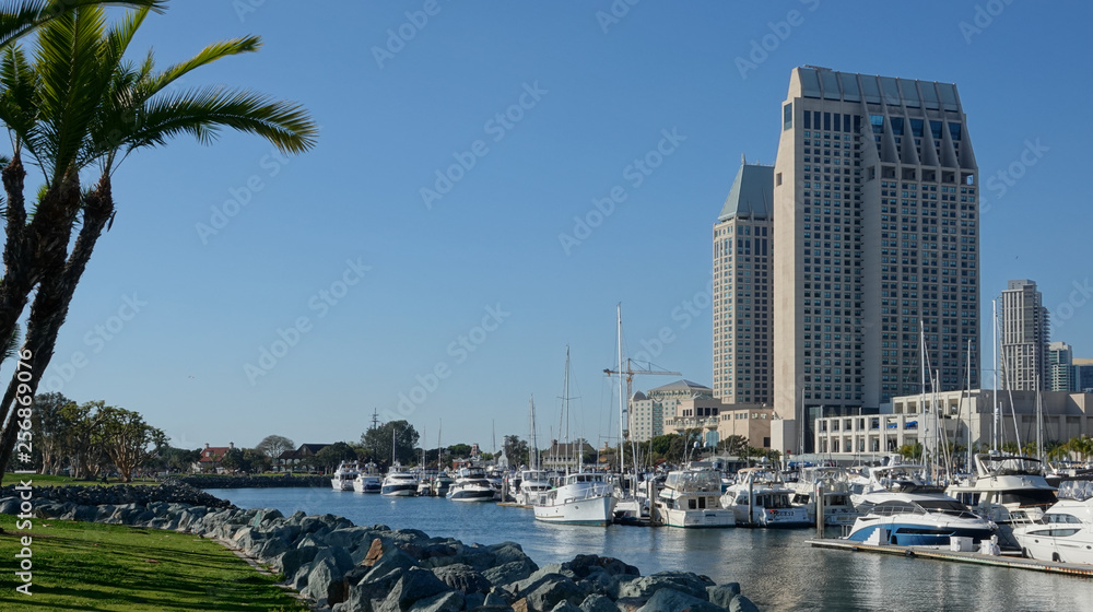 View of San Diego cityscape 
