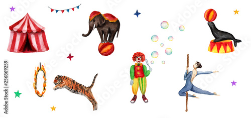 Circus set elements, elephant, clown, seal, tiger, tent, flags, soap bubbles, fire ring and an acrobat. Watercolor illustration