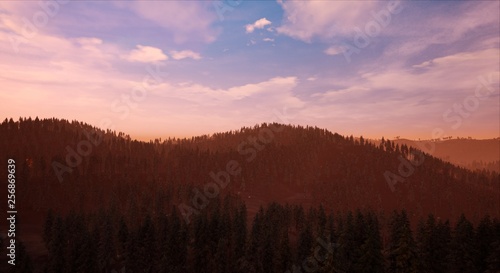 Landscape - View of a forest with a mountain in the background at day