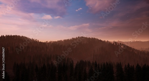 Landscape - View of a forest with a mountain in the background at day