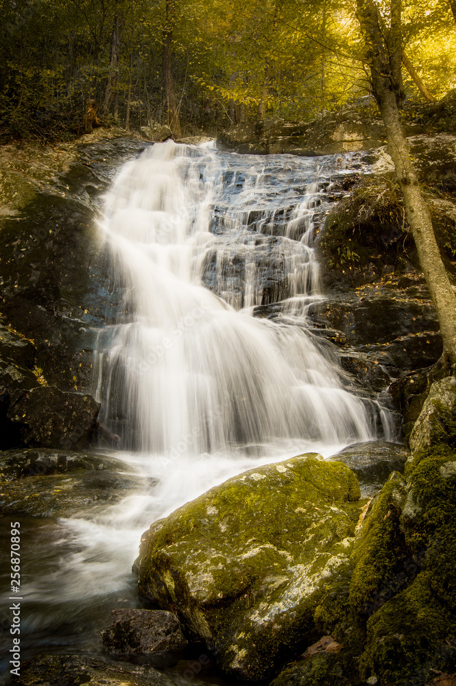 Obraz premium Glowing Falls