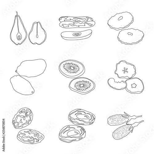 Vector illustration of food  and raw  symbol. Set of food  and nature  stock vector illustration.