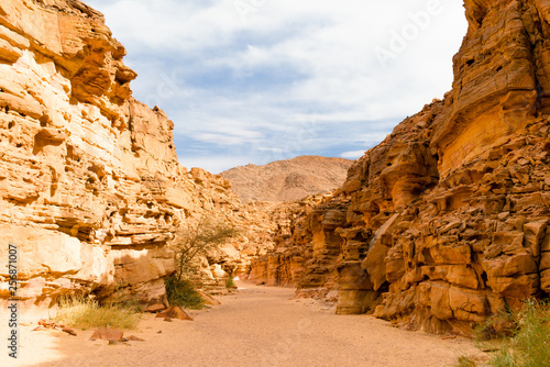 colored canyon with green plants in Egypt Dahab South Sinai