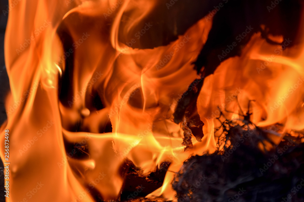 Feuer, Heiß, Flammen, Zerstörung, Rot, Warm, Orange, Sturm, Hintergrund, Schwarz Feuer, Heiß, Flammen, Zerstörung, Rot, Warm, Orange, Sturm, Hintergrund, Schwarz