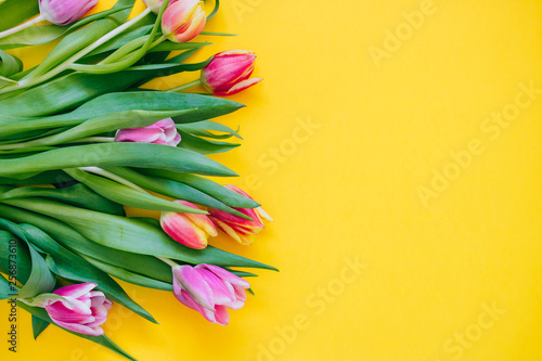 Spring concept. Pink and red tulips on yellow background. Copy space, flat lay.