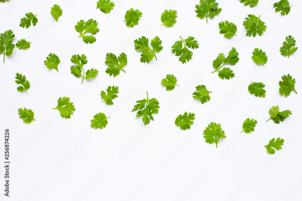 Fresh coriander leaves on white Fresh coriander leaves on white