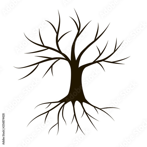 Tree with roots isolated on white background. Vector illustration
