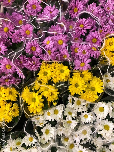 Pink yellow and white daisies on the market 