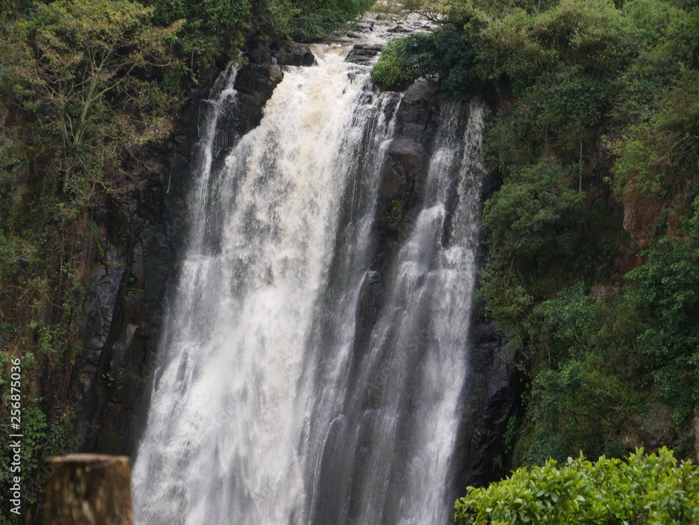 Thompson Falls